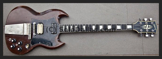 Issue Guitars, Project Guitars
